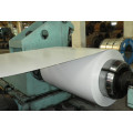 White Board Steel Coil